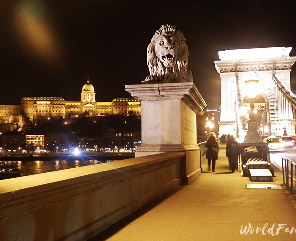 Budapest's Chain Bridge, Lion statue, and Buda Castle at night