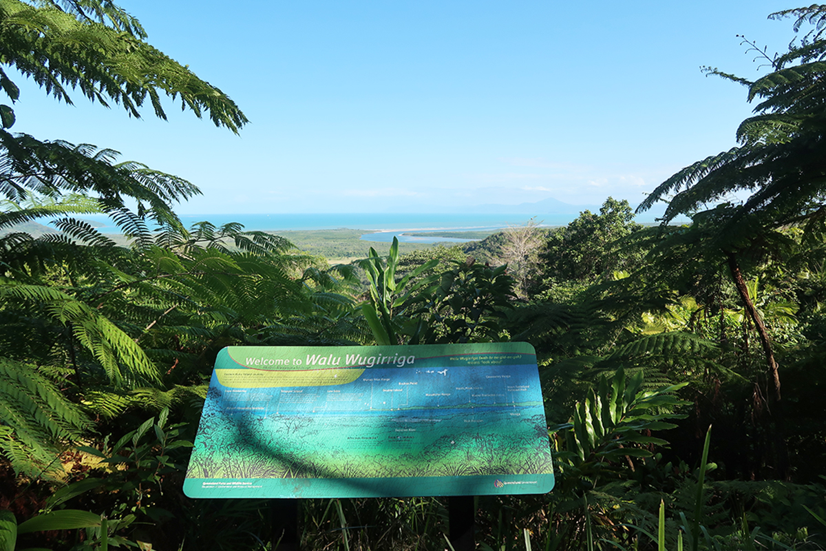 Looking out through Daintree Rainforest to Great Barrier Reef