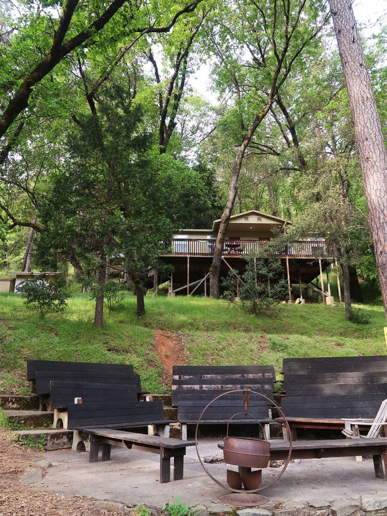 Yosemite Bug Mountain Lodge in the trees